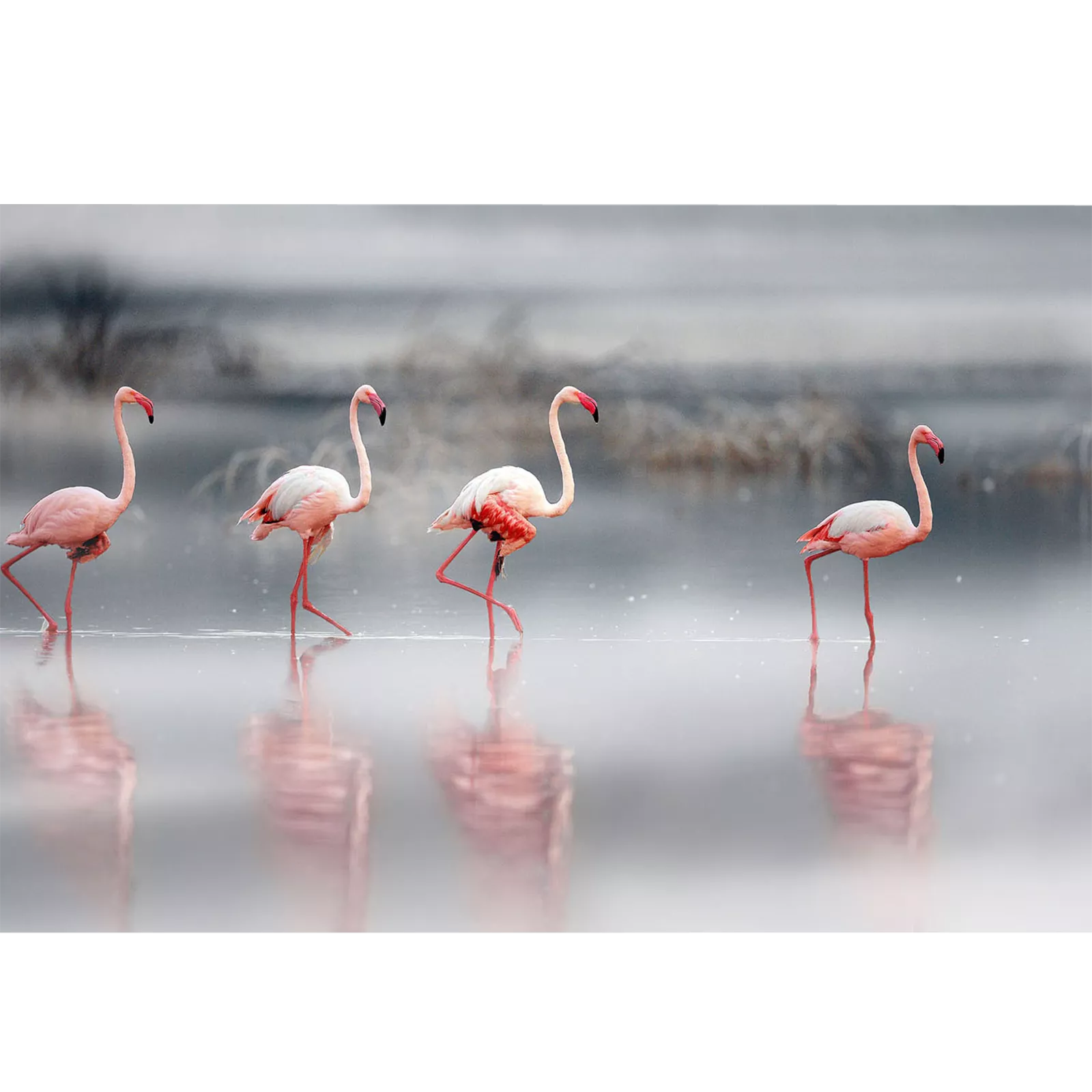 Wanddecoratie Flamingo