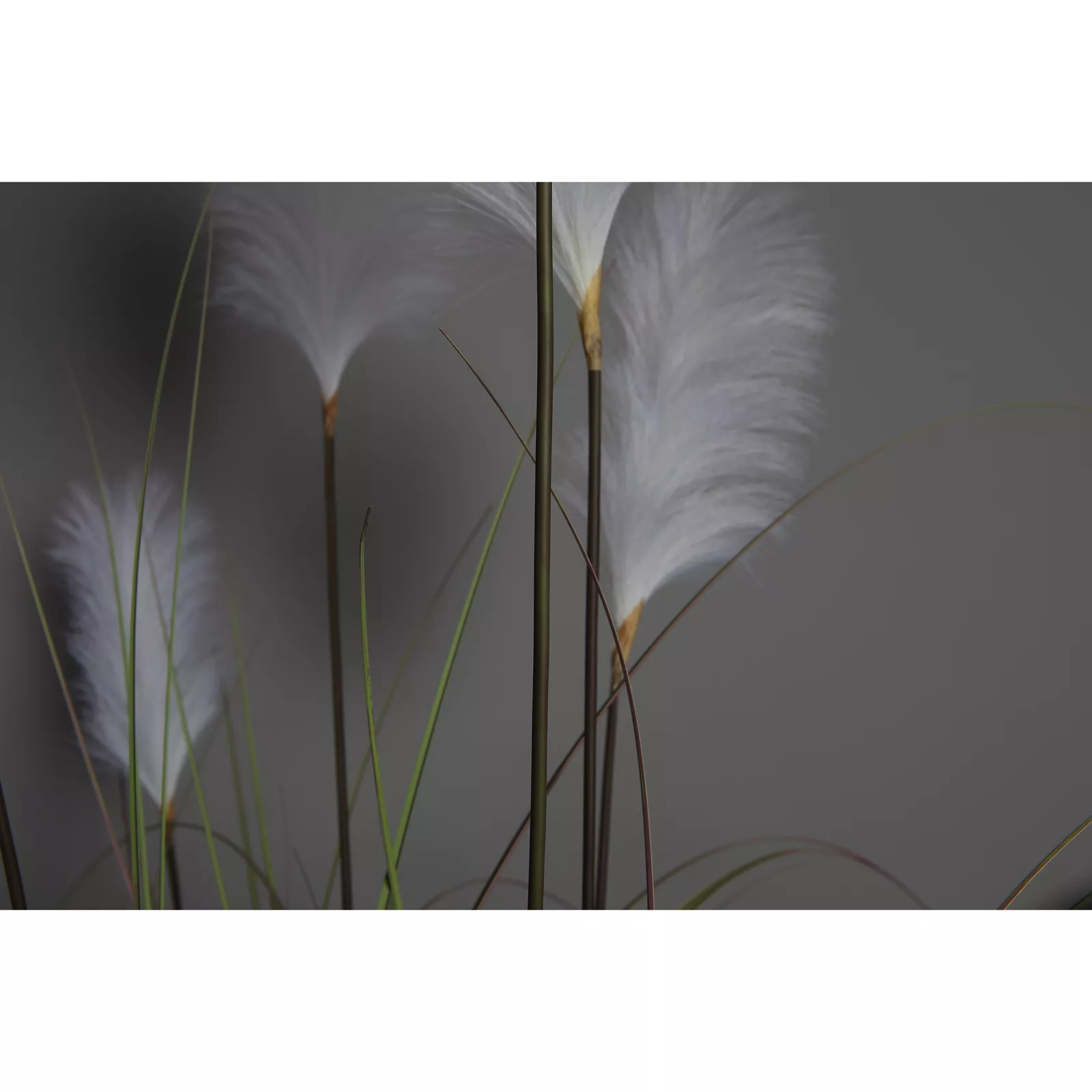 Kunstplant Gras Luxe (137cm) - Witte pluim