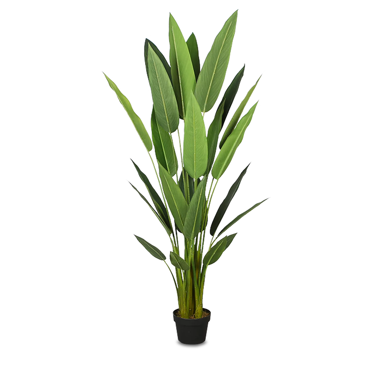 Kunstplant Strelitzia (160cm)