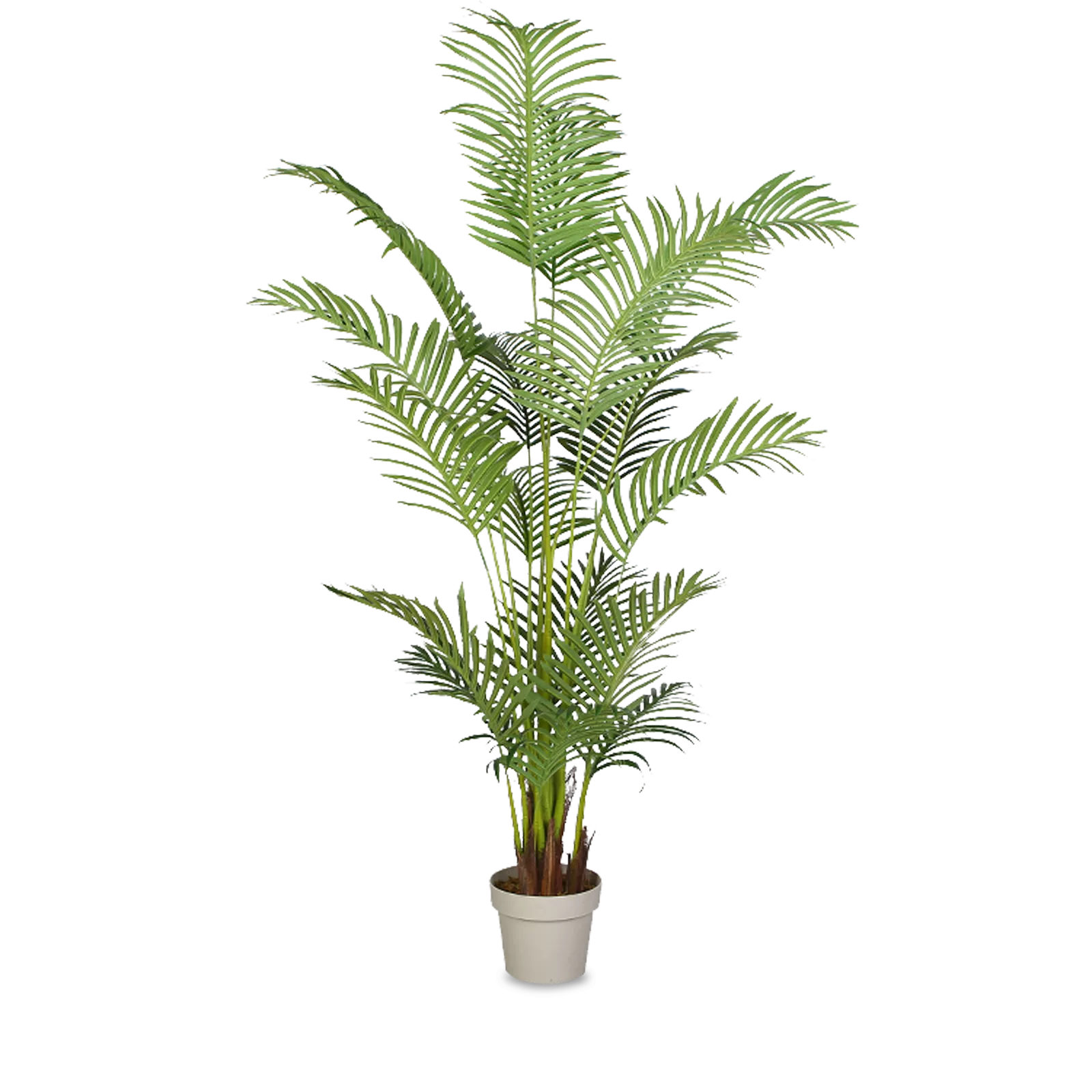 Kunstplant Areca Palm Budget