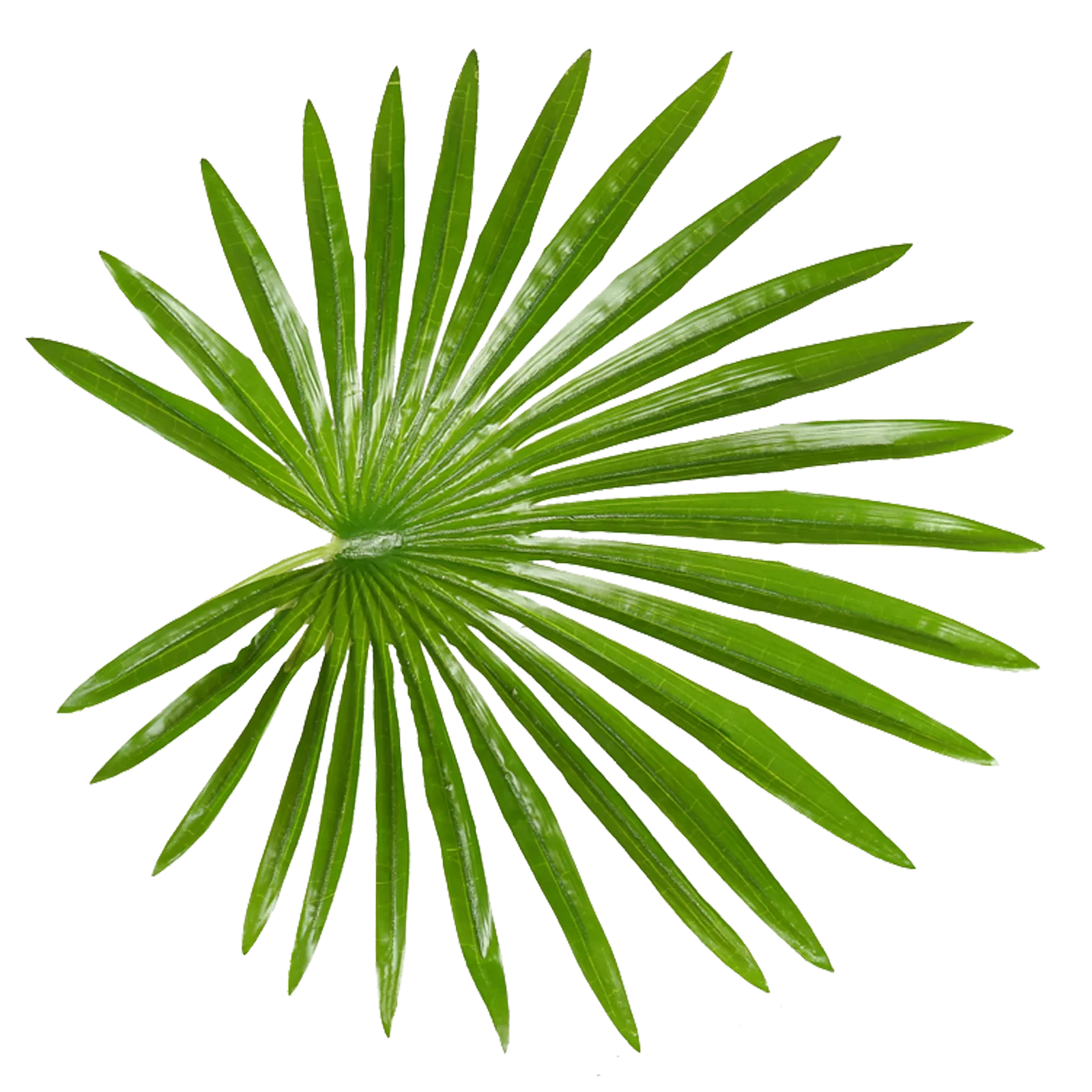 Kunstplant Fan Palm (120cm)
