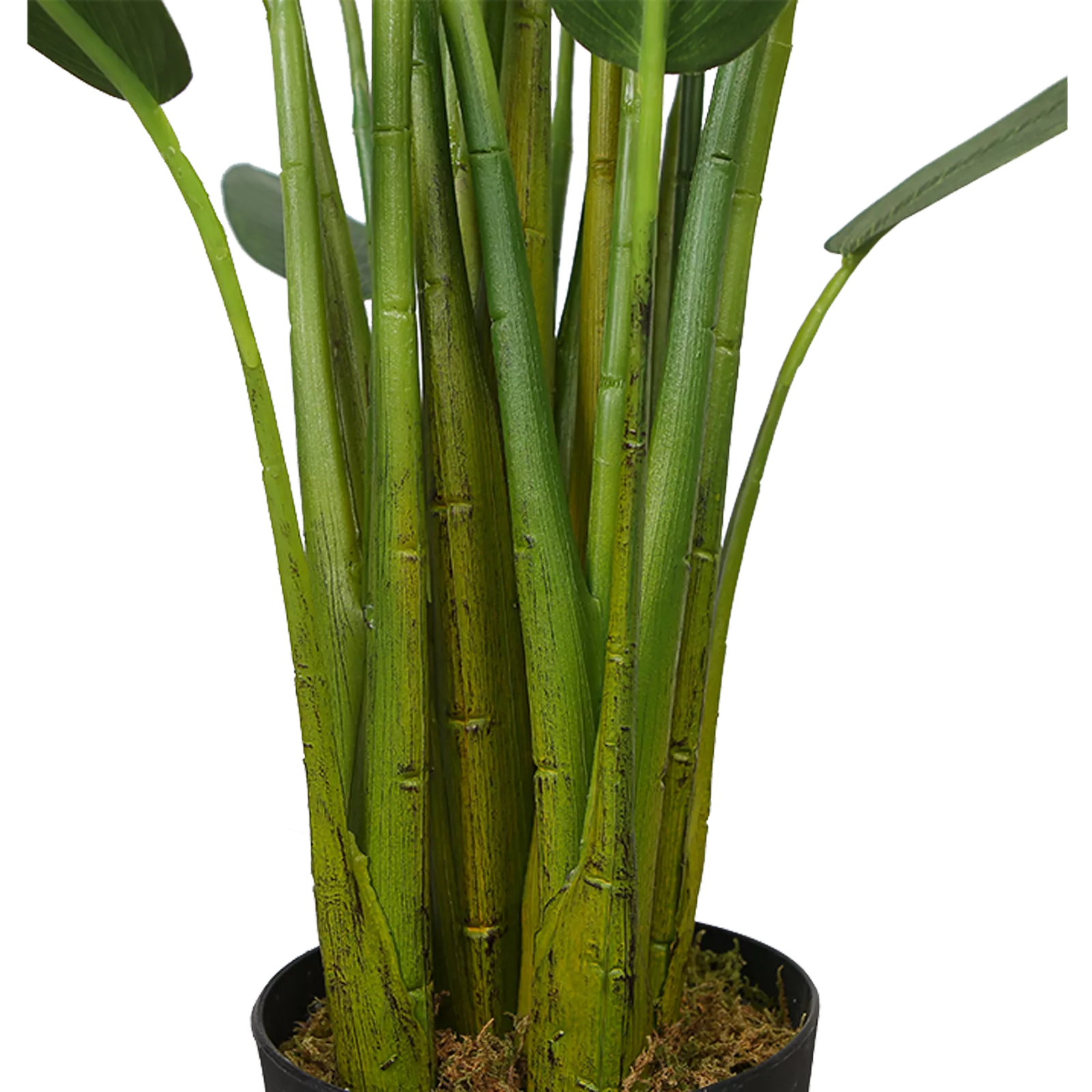 Kunstplant Strelitzia (160cm)