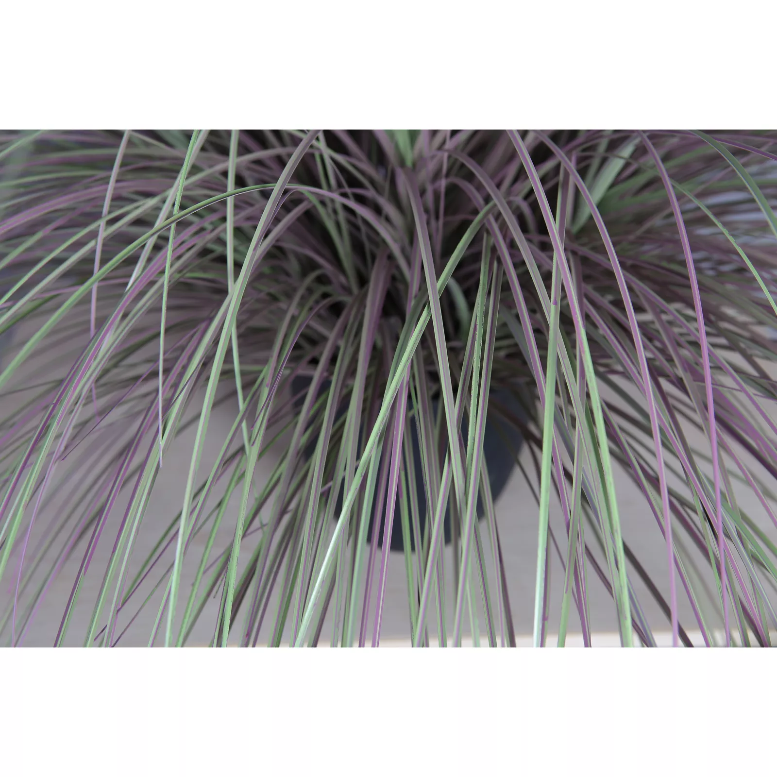 Kunstplant Gras Luxe (137cm) - Witte pluim