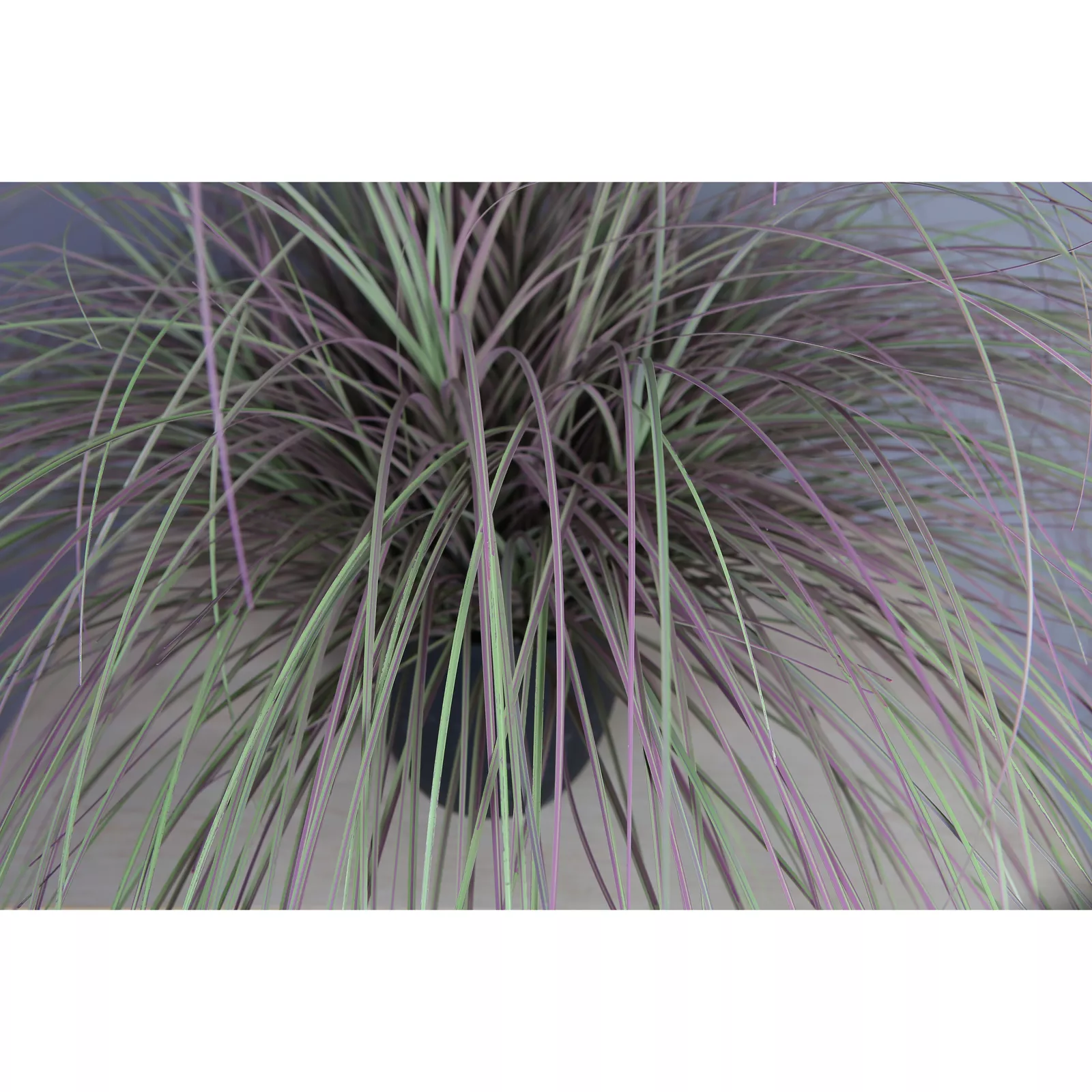 Kunstplant Gras Luxe (137cm) - Roze pluim